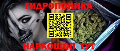 дурь Сланцы