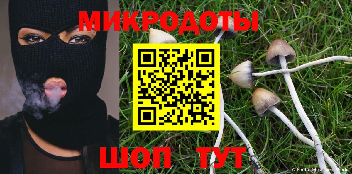 Галлюциногенные грибы Cubensis Полевской