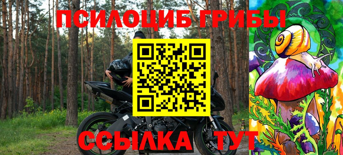 Полевской  Псилоцибиновые грибы прущие грибы  Вход с VPN 